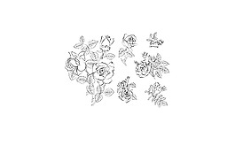 玫瑰花紋