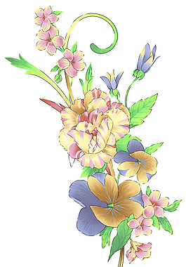 花朵素材