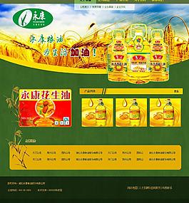 企業(yè)網(wǎng)站設(shè)計(jì)圖片