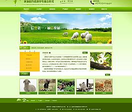 網效首頁效果圖圖片