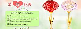 水晶康乃馨海報圖片