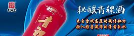 青稞酒圖片