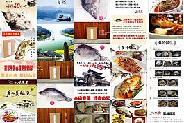 魚 描述圖片