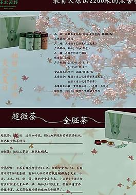 網(wǎng)頁設計圖片