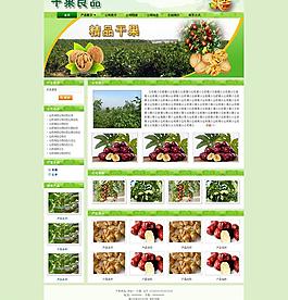 干果網(wǎng)站設(shè)計圖片