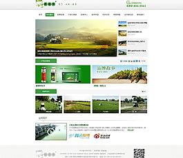 易狼网络 案例展示图片