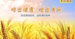 banner農(nóng)產(chǎn)圖片