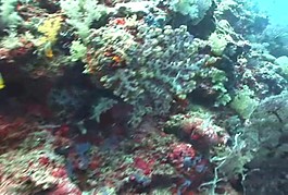 海底世界