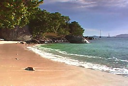 海灘素材