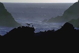 海水
