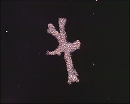 實(shí)用標(biāo)清素材
