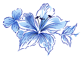 藍(lán)色線條花的素材