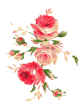 牡丹花的PSD素材