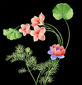 花紋黑底psd素材