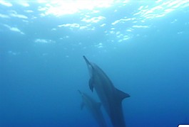 海底世界