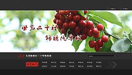 政府网站引导页设计图片
