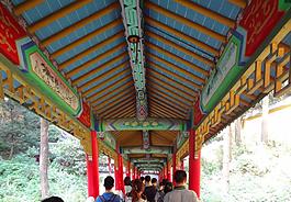 九華山圖片