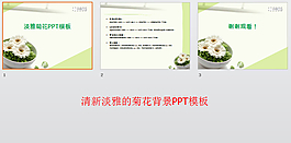 清新淡雅的菊花背景PPT模板