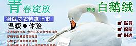 冬裝羽絨服模版圖片