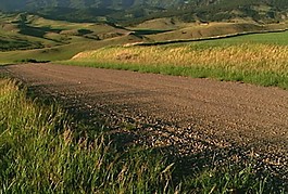 鄉下小路