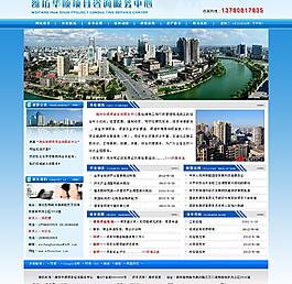 項目咨詢服務圖片