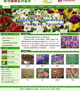 花卉苗木圖片