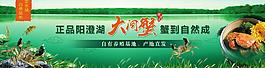 大閘蟹banner圖片