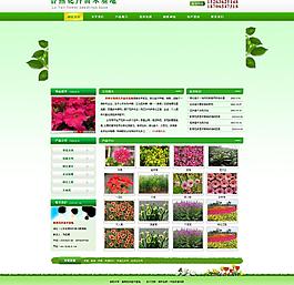 魯燕花卉苗木圖片
