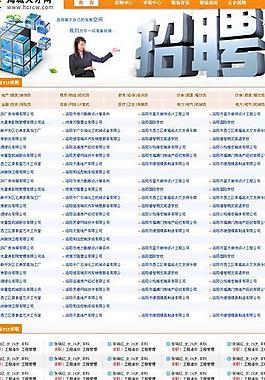 人才網站模板圖片