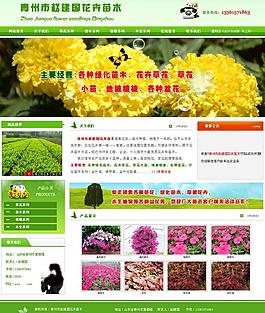 花卉苗木圖片