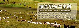 淘宝促销海报 牛肉图片