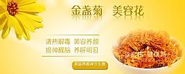 金盞菊圖片