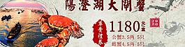 大閘蟹banner圖片