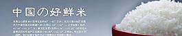中國好大米好鮮米圖片
