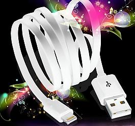 蘋果5充電線圖片