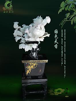 牡丹圖圖片