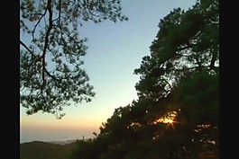夕陽(yáng)背景視頻素材模板下載