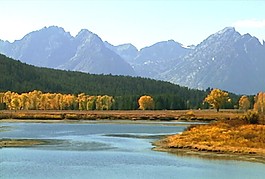 山