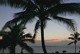 海灘素材下載