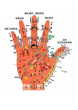 手掌穴位圖