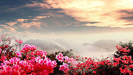 紅花天空