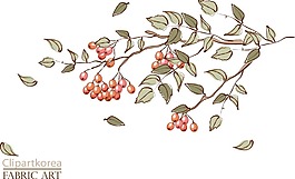 枝頭的野果