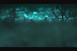 夕陽(yáng)視頻素材模板下載