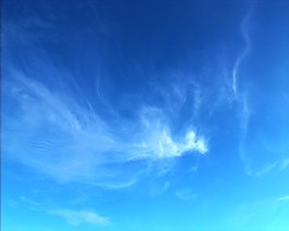實(shí)拍自然背景視頻素材