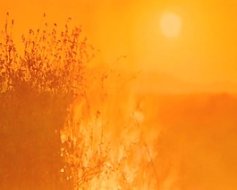 夕陽(yáng)視頻素材素材下載