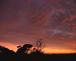夕陽視頻素材素材下載
