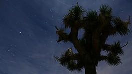 星空模板下載