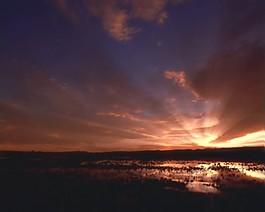 夕陽