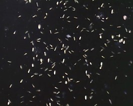 醫(yī)療