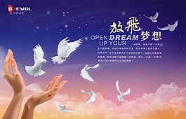 放飛夢(mèng)想
